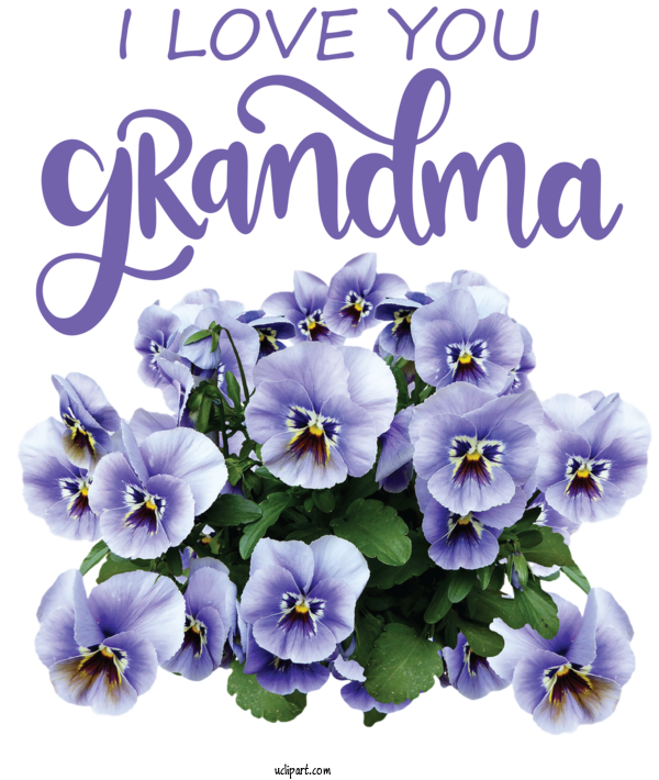 Free Holidays Pansy Grandparents' Day Grandparent For Grandparents Day Clipart Transparent Background