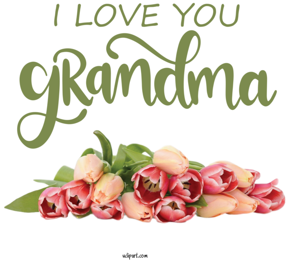 Free Holidays Floral Design Garden Roses Flower For Grandparents Day Clipart Transparent Background