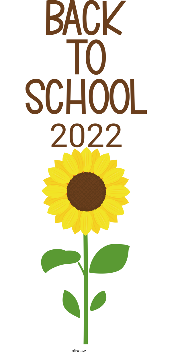 Free School Floral Design Daisy Family Plant Stem For Back To School Clipart Transparent Background