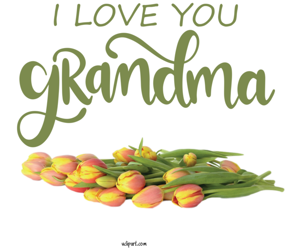 Free Holidays Natural Food Cut Flowers Superfood For Grandparents Day Clipart Transparent Background