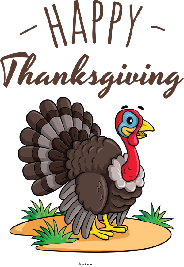 Free Holidays Wild Turkey Cartoon Drawing For Thanksgiving Clipart Transparent Background
