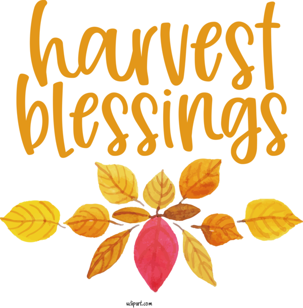 Free Holidays Cut Flowers Floral Design Leaf For Thanksgiving Clipart Transparent Background