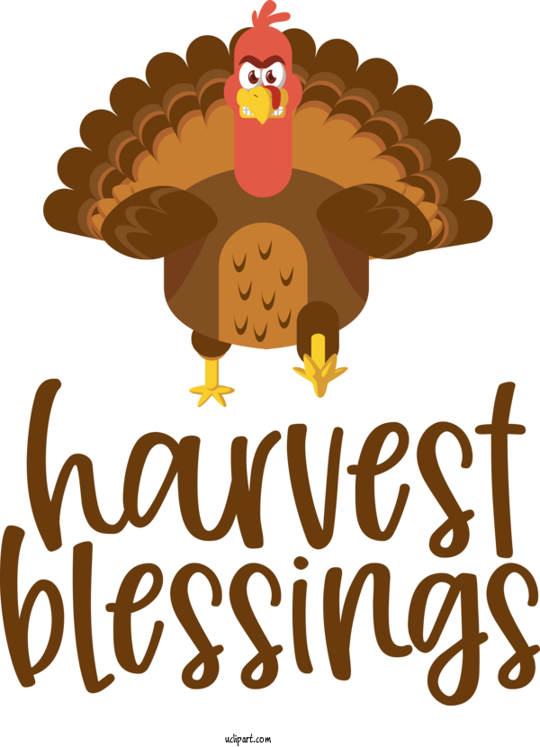 Free Holidays Birds Logo Beak For Thanksgiving Clipart Transparent Background