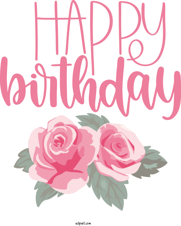 Free Occasions Floral Design Garden Roses Rose For Birthday Clipart Transparent Background