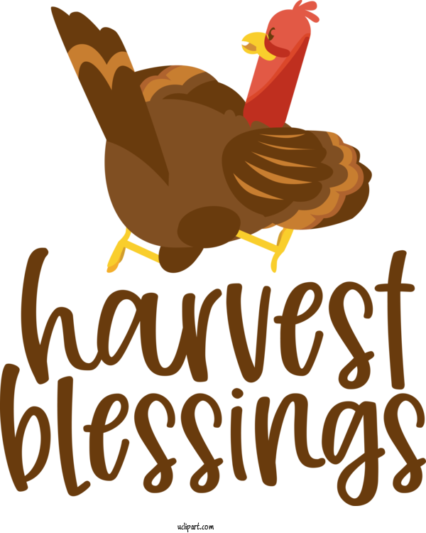 Free Holidays Birds Landfowl Logo For Thanksgiving Clipart Transparent Background