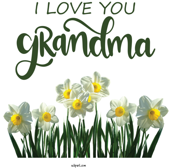 Free Holidays Wild Daffodil Flower Black Eyed Susan For Grandparents Day Clipart Transparent Background