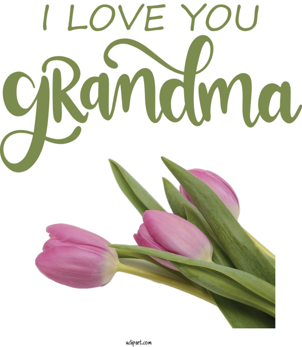 Free Holidays Floral Design Plant Stem Cut Flowers For Grandparents Day Clipart Transparent Background