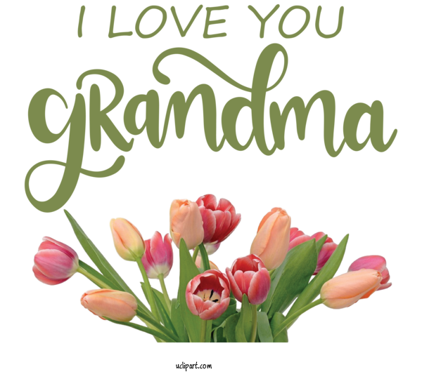 Free Holidays Floral Design Flower Cut Flowers For Grandparents Day Clipart Transparent Background