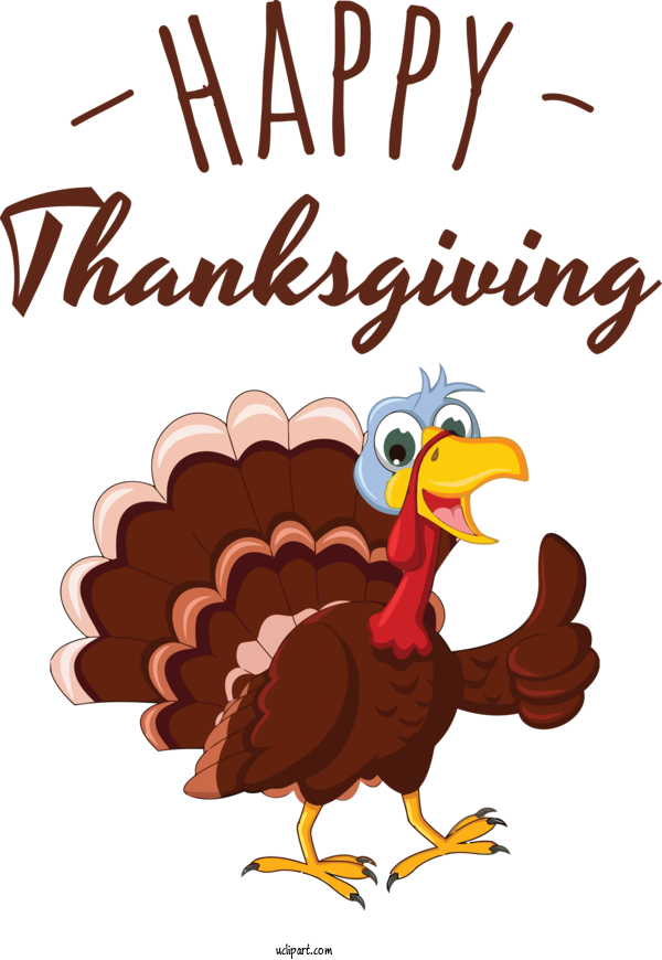Free Holidays Domestic Turkey Chicken Turkey For Thanksgiving Clipart Transparent Background