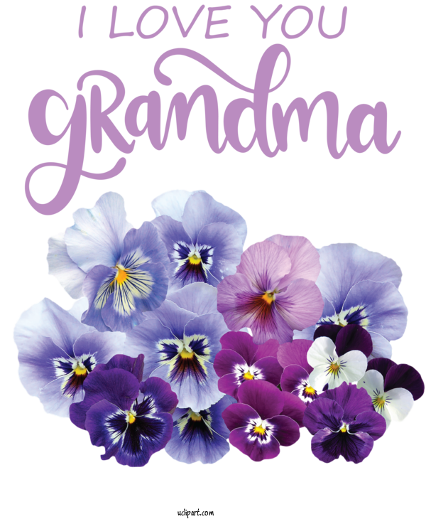 Free Holidays Pansy T Shirt Flower For Grandparents Day Clipart Transparent Background