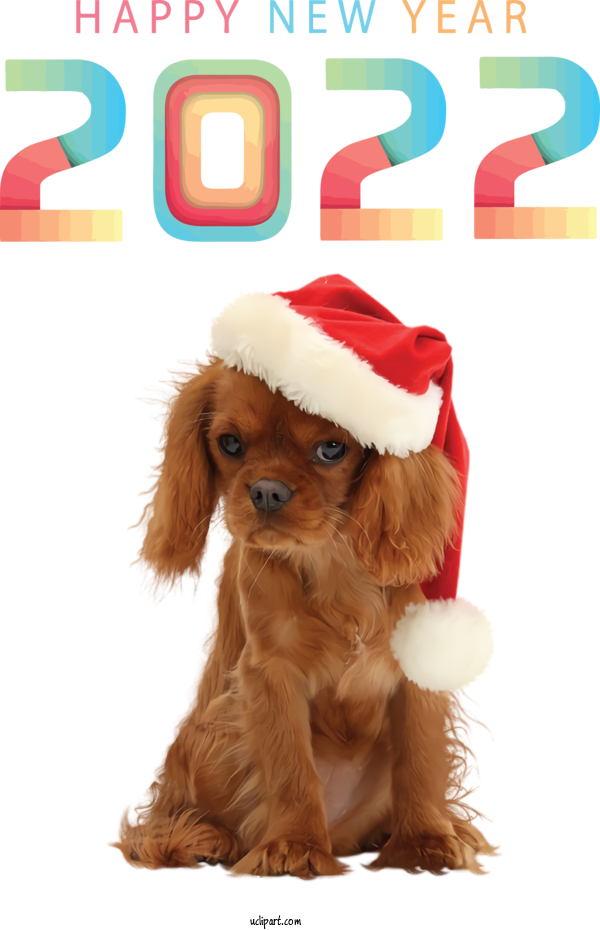 Free Holidays Nouvel An 2022 Christmas Day New Year For New Year 2022 Clipart Transparent Background