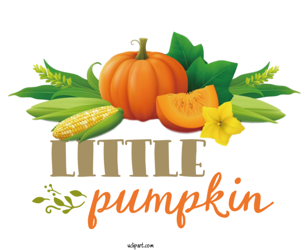 Free Holidays Vegetarian Cuisine Vegetable Pumpkin For Thanksgiving Clipart Transparent Background