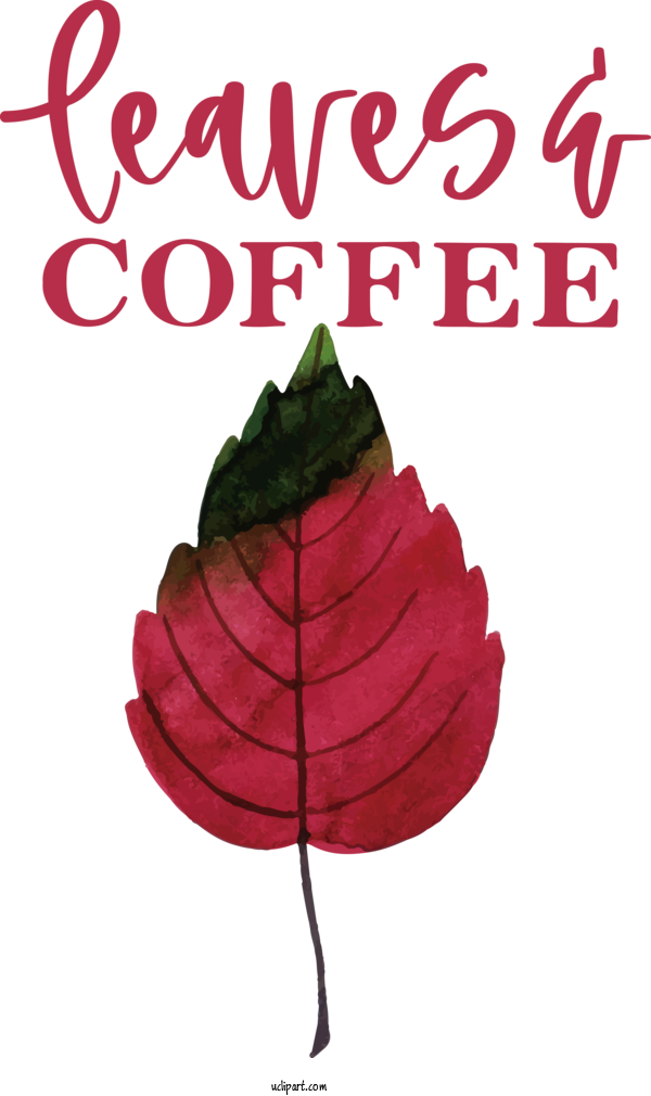 Free Drink Coquitlam College Leaf Flower For Coffee Clipart Transparent Background