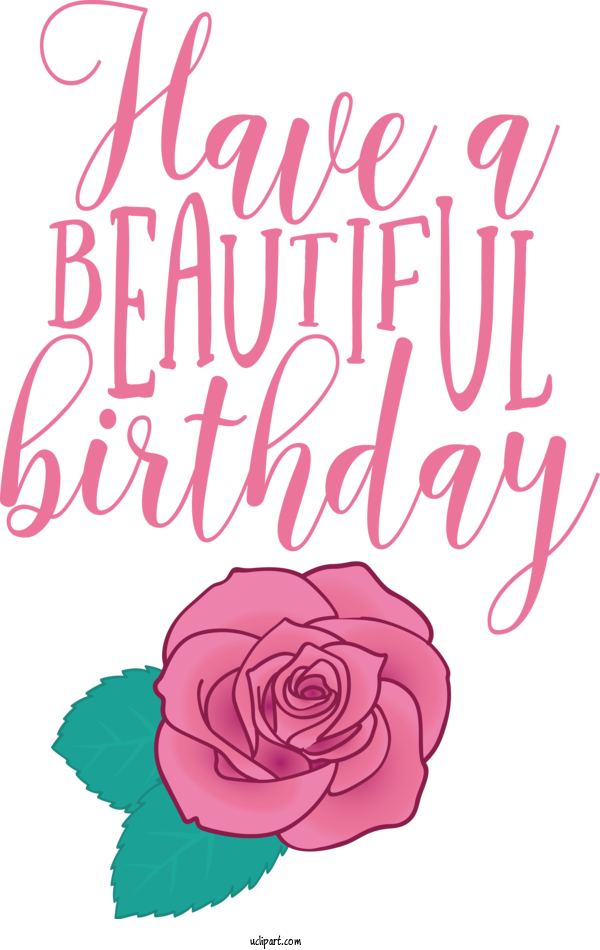 Free Occasions Floral Design Garden Roses Rose For Birthday Clipart Transparent Background