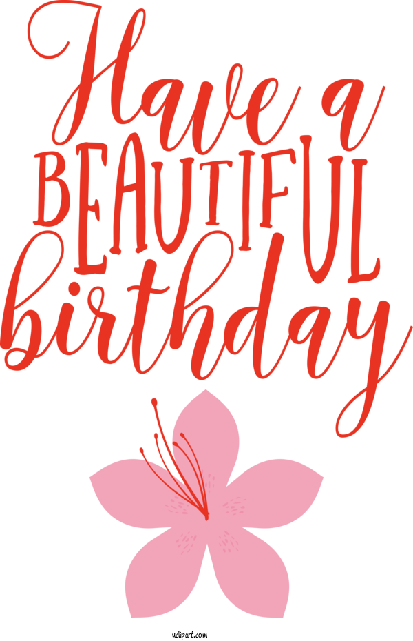 Free Occasions Cut Flowers Floral Design Design For Birthday Clipart Transparent Background
