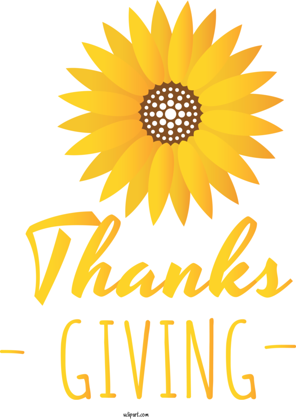 Free Holidays Chrysanthemum Sunflower Seeds Cut Flowers For Thanksgiving Clipart Transparent Background