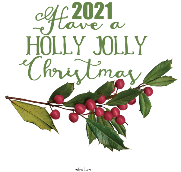 Free Holidays Holly Leaf Aquifoliales For Christmas Clipart Transparent Background