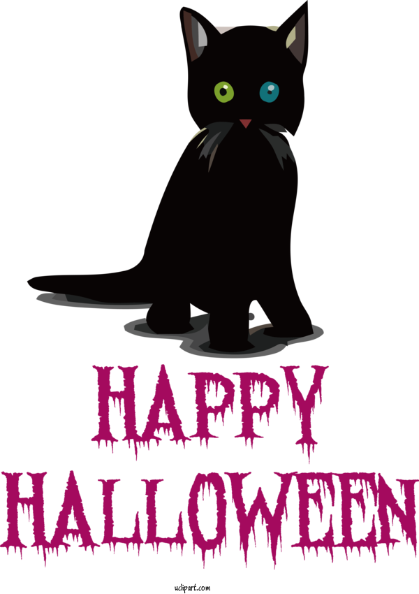 Free Holidays Cat Cat Like Kitten For Halloween Clipart Transparent Background