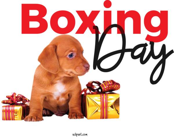 Free Holidays Golden Retriever Cane Corso Puppy For Boxing Day Clipart Transparent Background