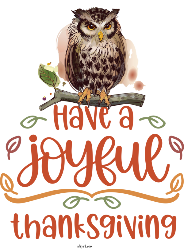 Free Holidays Owls Birds Beak For Thanksgiving Clipart Transparent Background