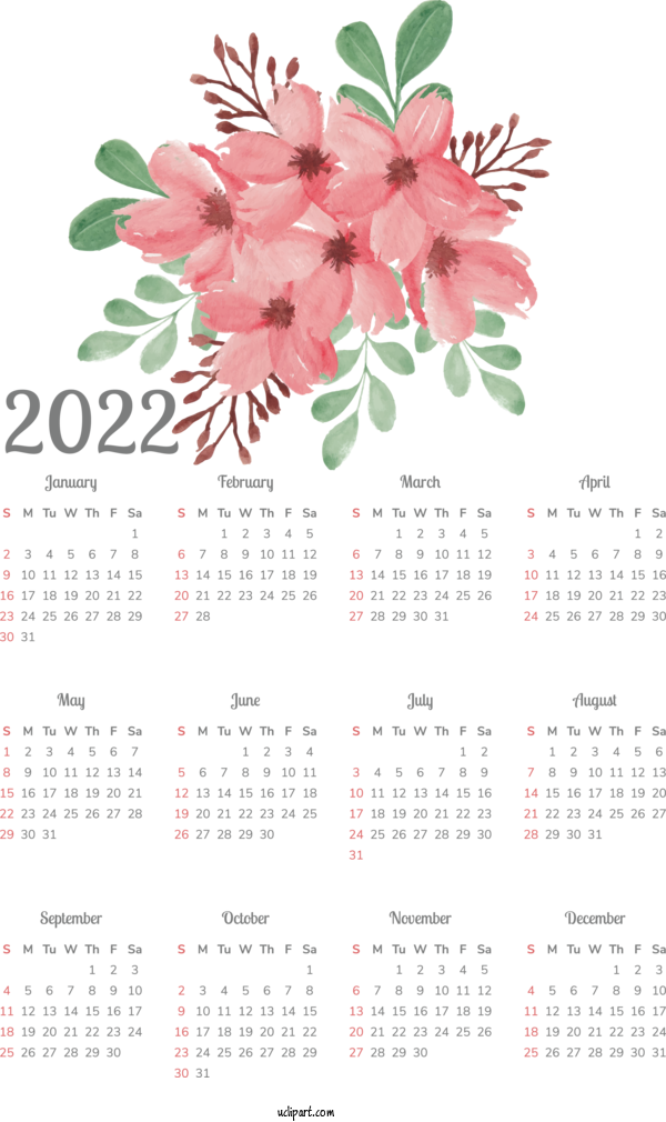 Free Life Flower Flower Bouquet Petal For Yearly Calendar Clipart Transparent Background