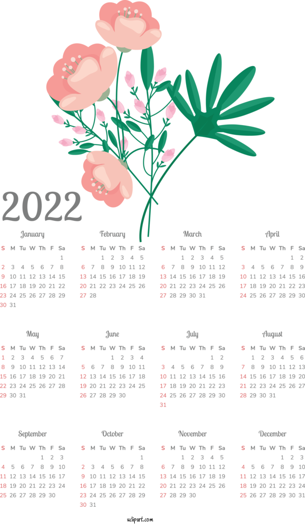 Free Life Petal Flower Rose For Yearly Calendar Clipart Transparent Background