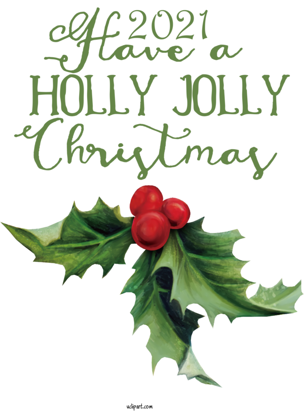 Free Holidays Holly Leaf Aquifoliales For Christmas Clipart Transparent Background