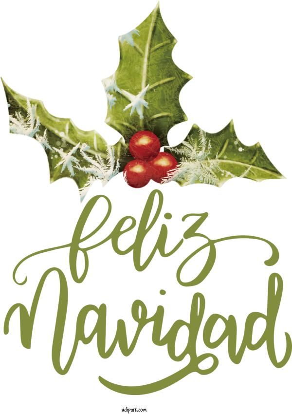 Free Holidays Holly Bauble Aquifoliales For Feliz Navidad Clipart Transparent Background