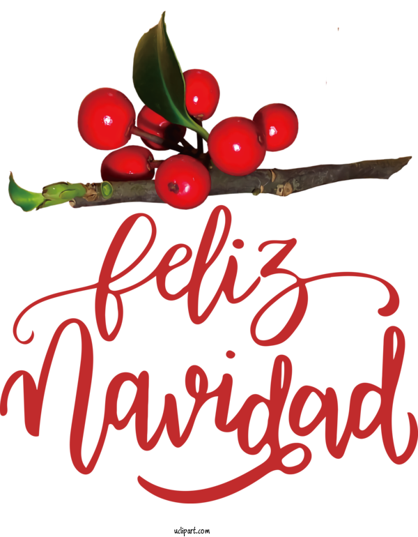 Free Holidays Flower Holly Logo For Feliz Navidad Clipart Transparent Background
