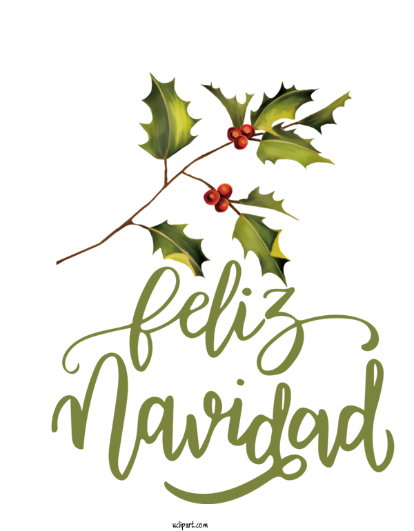 Free Holidays Holly Leaf Aquifoliales For Feliz Navidad Clipart Transparent Background