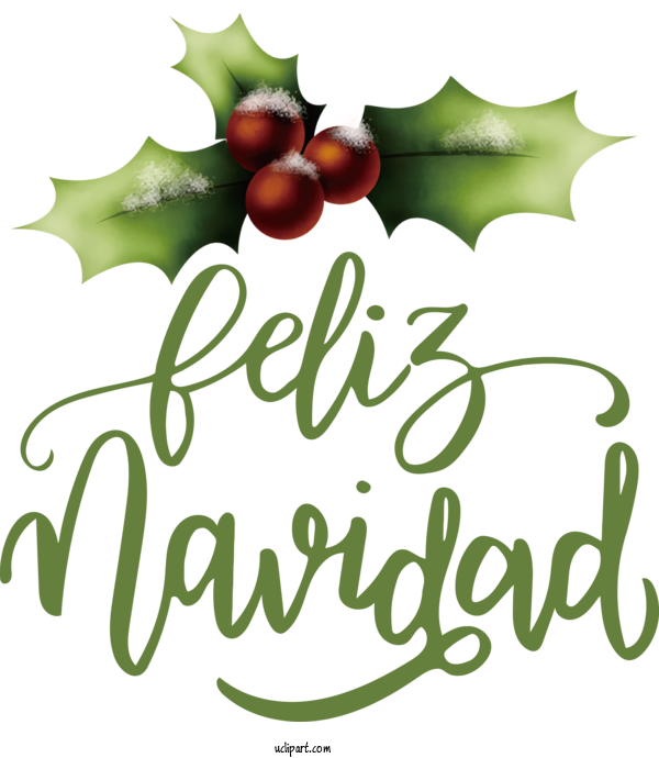 Free Holidays Holly Aquifoliales Leaf For Feliz Navidad Clipart Transparent Background