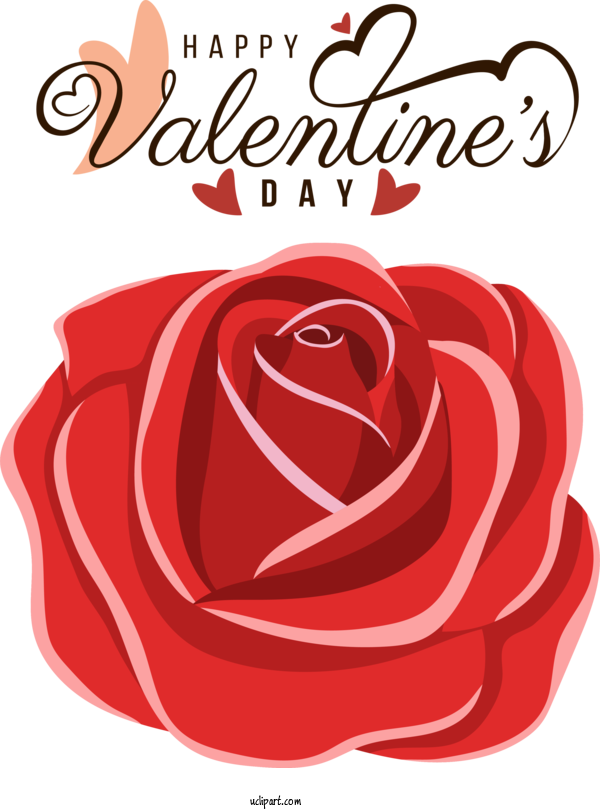 Free Holidays Floral Design Garden Roses Rose For Valentines Day Clipart Transparent Background