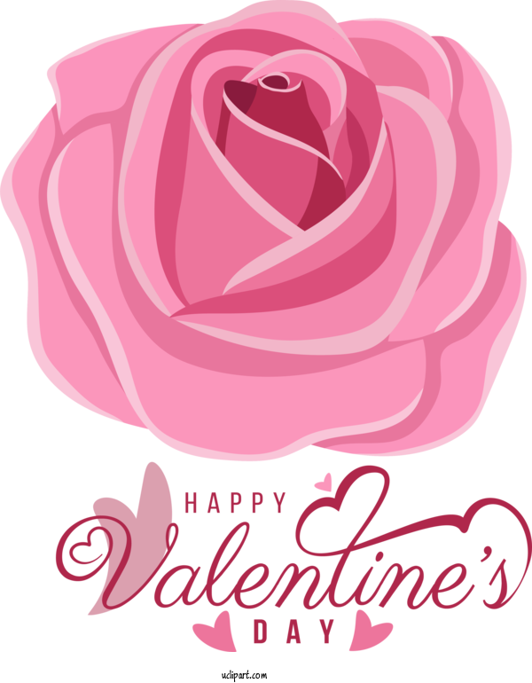 Free Holidays Rose Flower Gift For Valentines Day Clipart Transparent Background