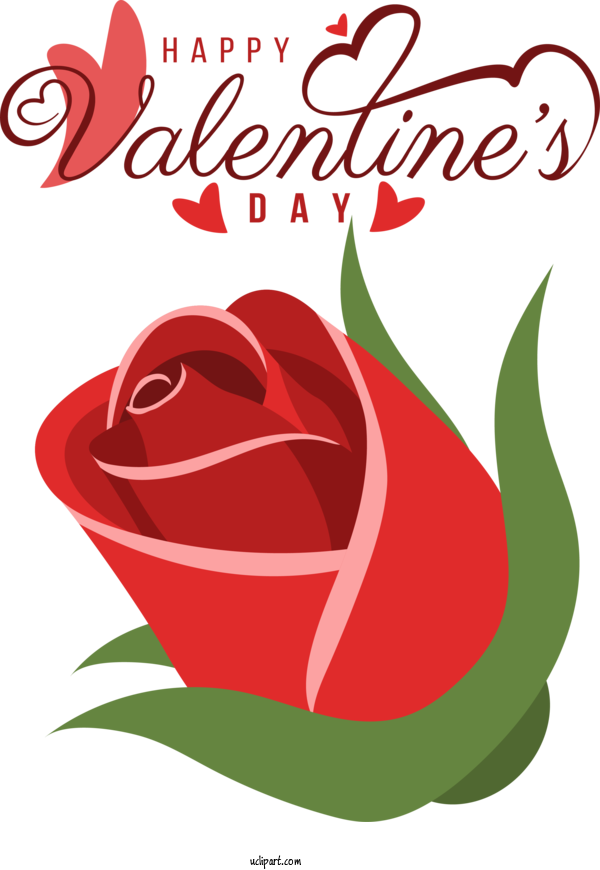 Free Holidays Garden Roses Floral Design Rose For Valentines Day Clipart Transparent Background