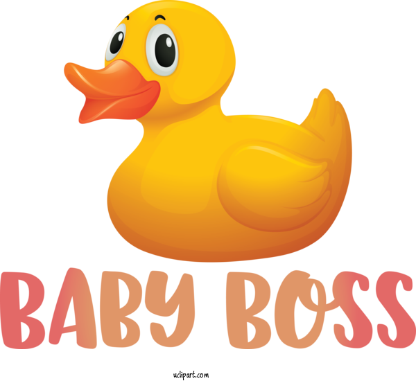 Free Occasions Duck Birds Water Bird For Baby Shower Clipart Transparent Background