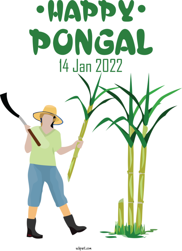 Free Holidays Sugarcane Agriculture Farm For Pongal Clipart Transparent Background