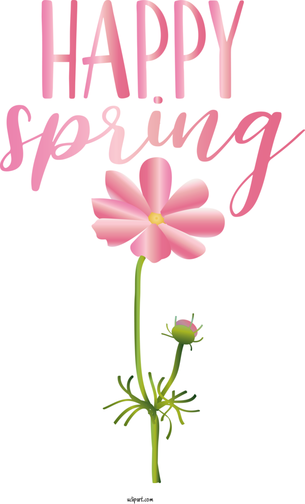 Free Nature Floral Design Vector Flower For Spring Clipart Transparent Background