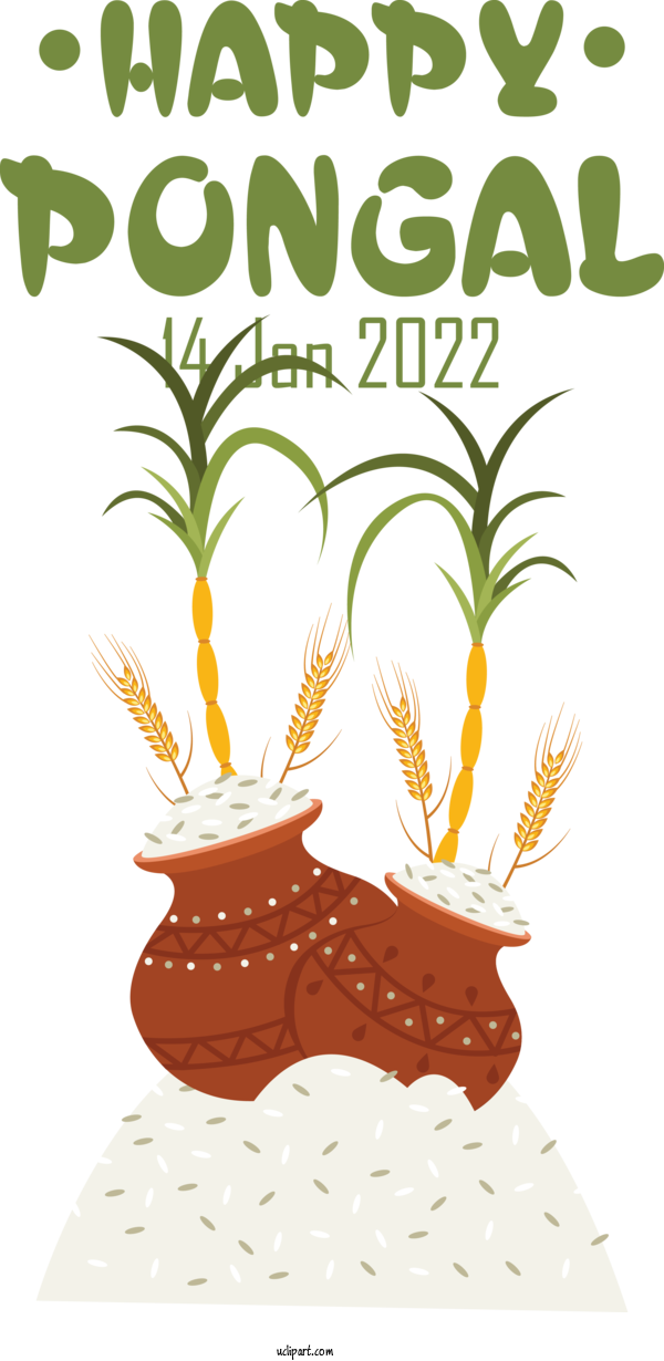 Free Holidays Pongal Drawing Icon For Pongal Clipart Transparent Background
