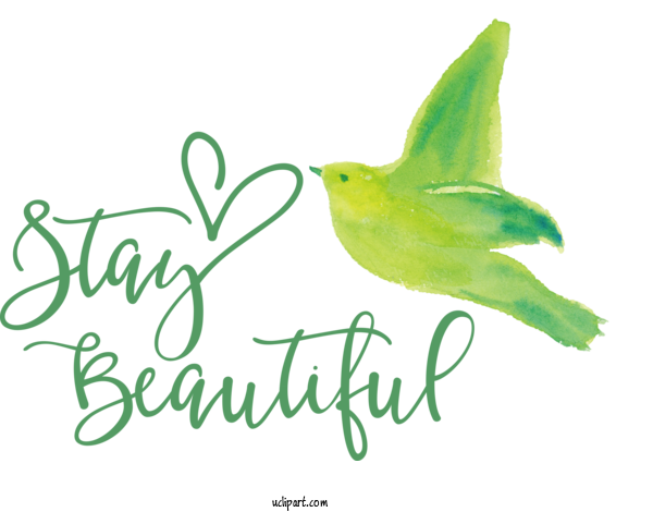 Free Clothing Hummingbirds Leaf Font For Fashion Clipart Transparent Background
