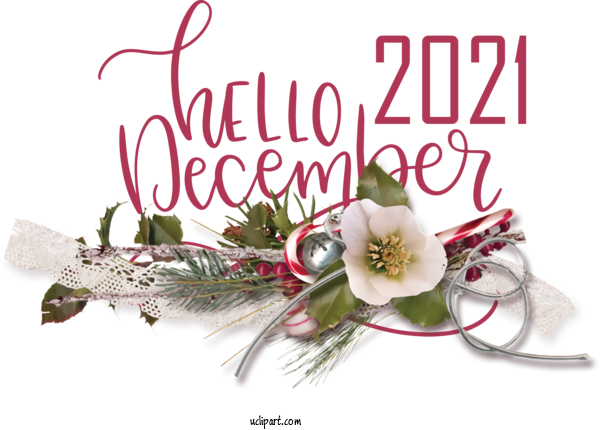 Free Nature Floral Design New Year Flower For Winter Clipart Transparent Background