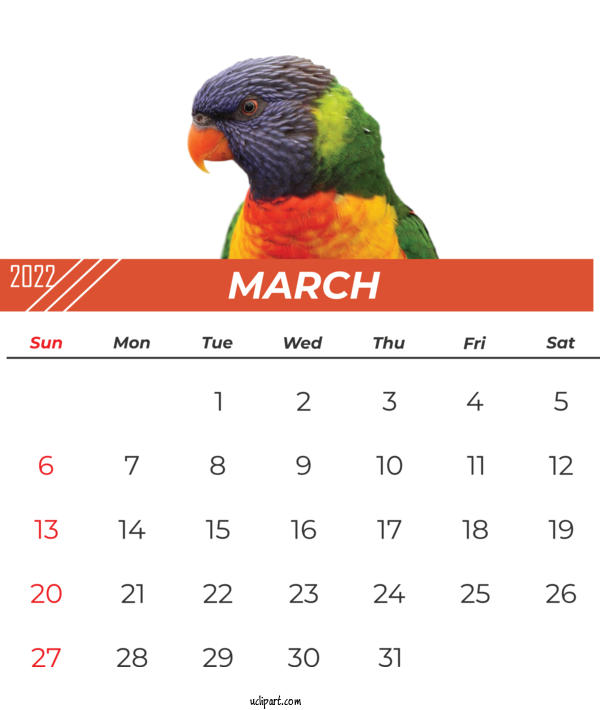 Free Life Birds Beak Parrots For Yearly Calendar Clipart Transparent Background