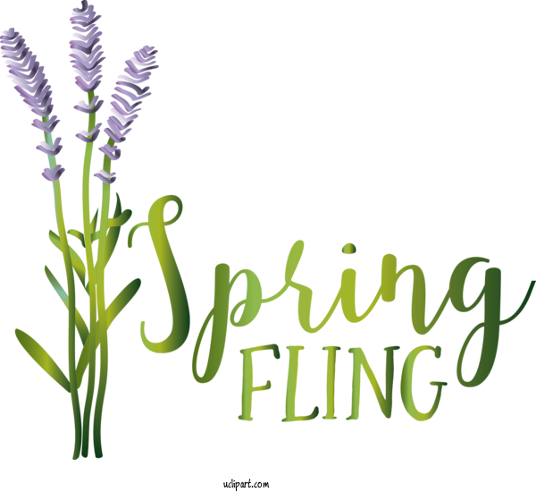 Free Nature Plant Stem Floral Design Font For Spring Clipart Transparent Background