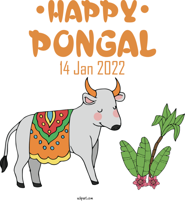 Free Holidays Pongal Mattu Pongal Festival For Pongal Clipart Transparent Background