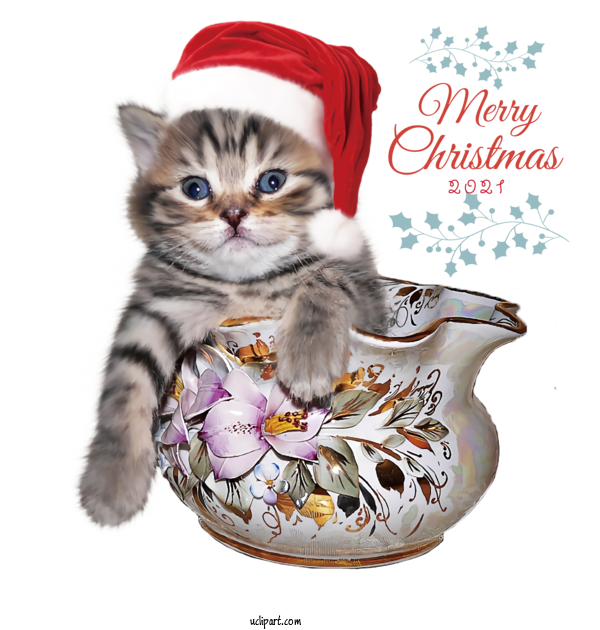 Free Holidays Poodle British Shorthair Kitten For Christmas Clipart Transparent Background
