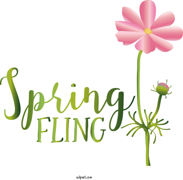 Free Nature Floral Design Plant Stem Cut Flowers For Spring Clipart Transparent Background