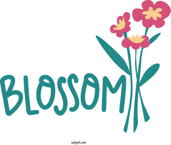 Free Nature Floral Design Flower Cornflower For Spring Clipart Transparent Background