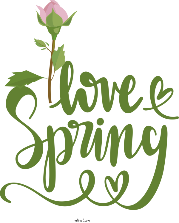 Free Nature Leaf Floral Design Plant Stem For Spring Clipart Transparent Background