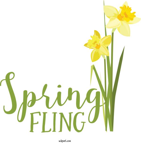Free Nature Plant Stem Daffodil Design For Spring Clipart Transparent Background