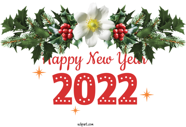 Free Holidays Mistletoe Viscum Album Mistletoe Branch For New Year 2022 Clipart Transparent Background