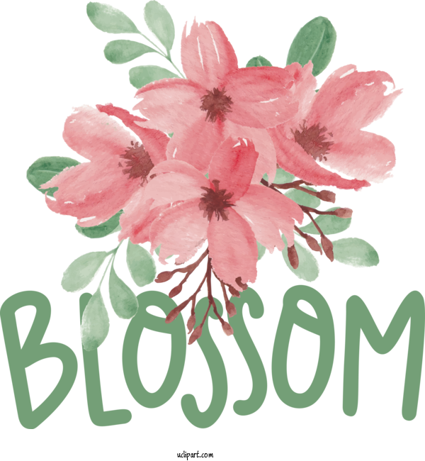 Free Nature Flower Floral Design Flower Bouquet For Spring Clipart Transparent Background